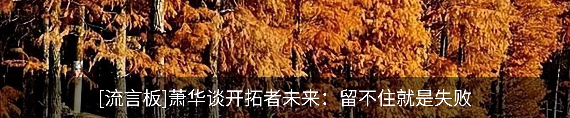 最新动态